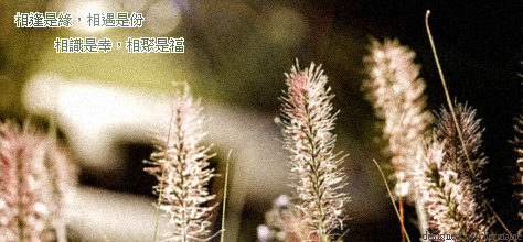 緣份.gif