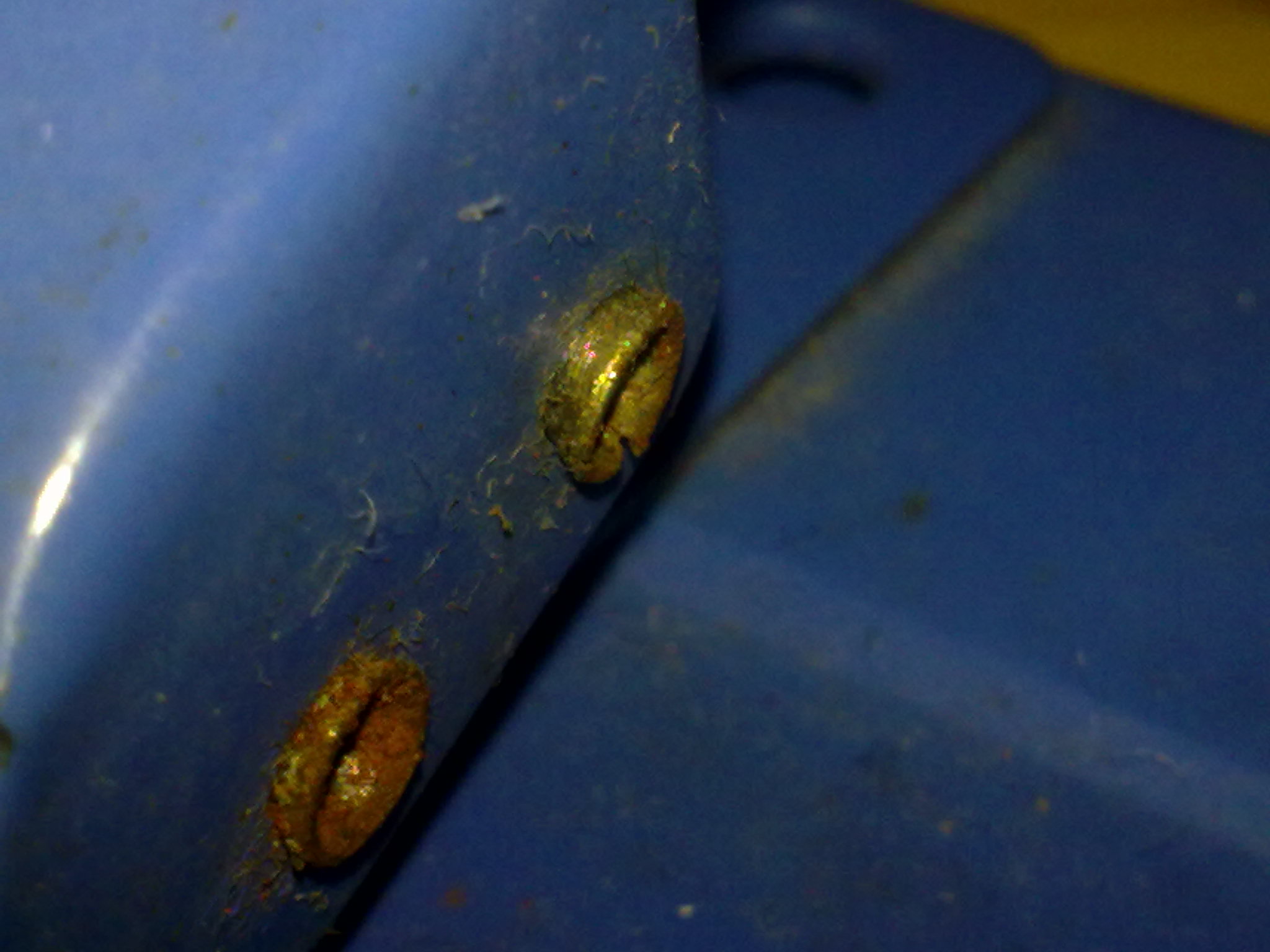 20120305631.jpg