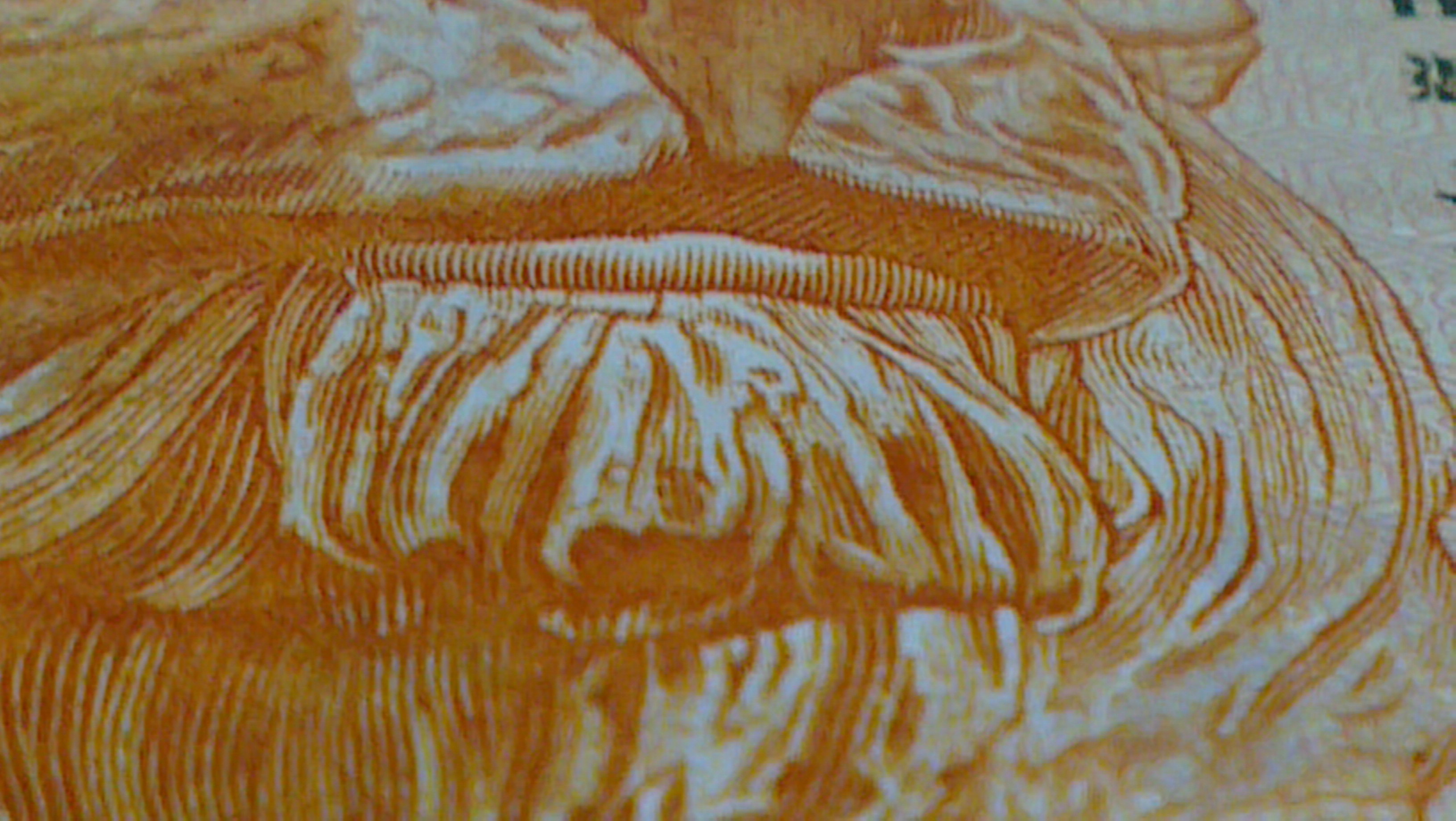 IMAG0165.jpg