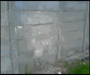 Wall_Kick_Fail.gif