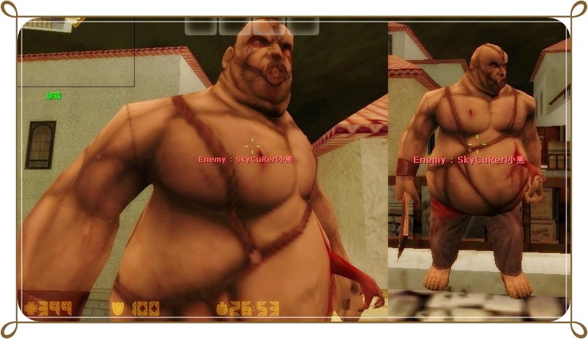 D2-horz.jpg