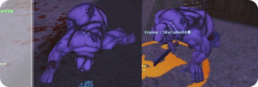 d5-horz.jpg