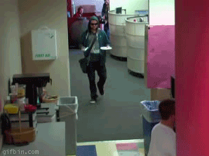 jackass-jackass.gif