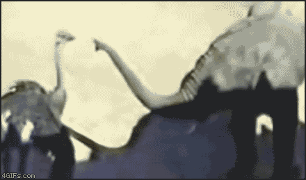 elephantostrich.gif