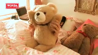 185184204.gif