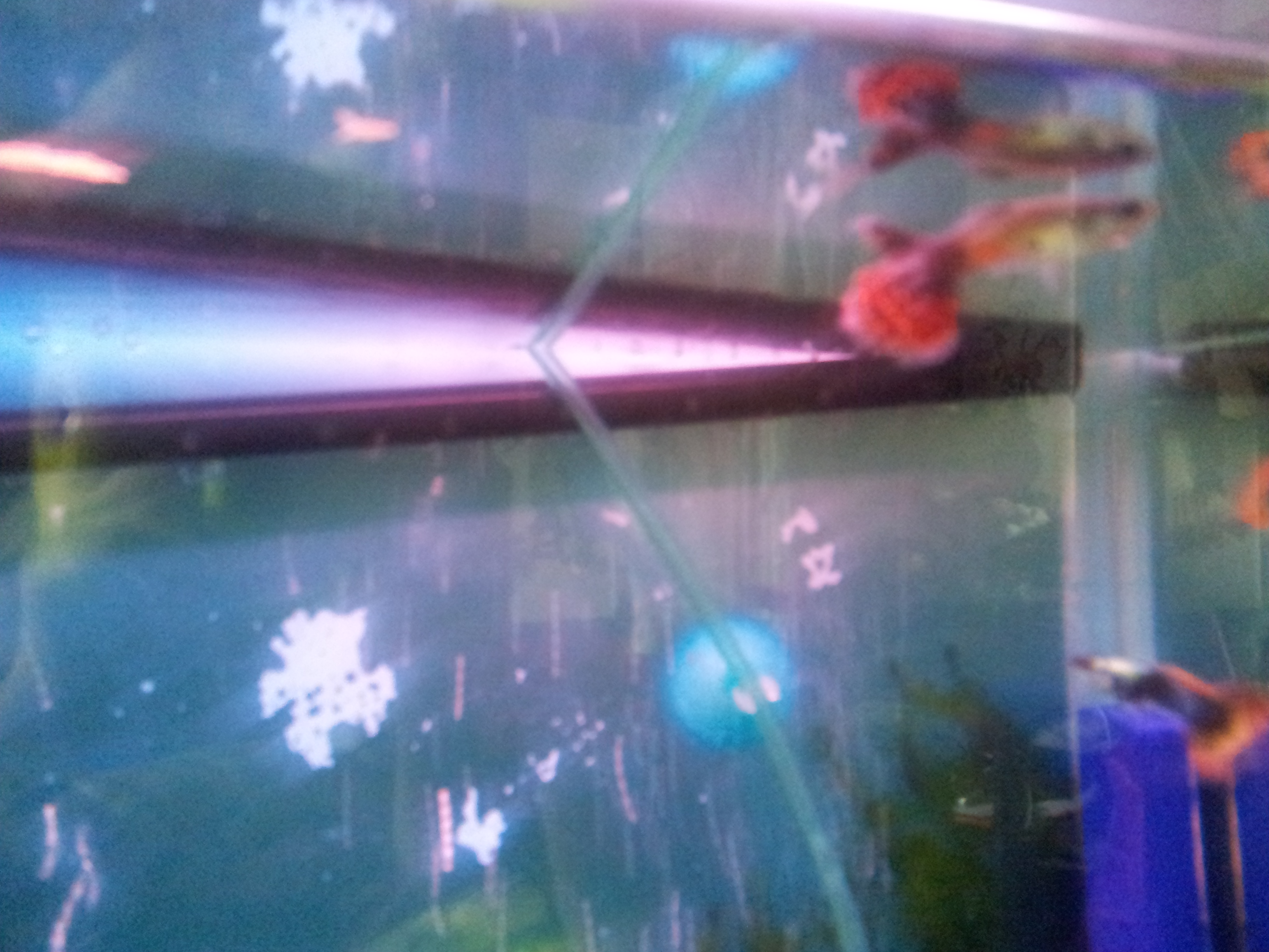 20121004_112821.jpg