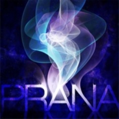 10. PRANA.jpg