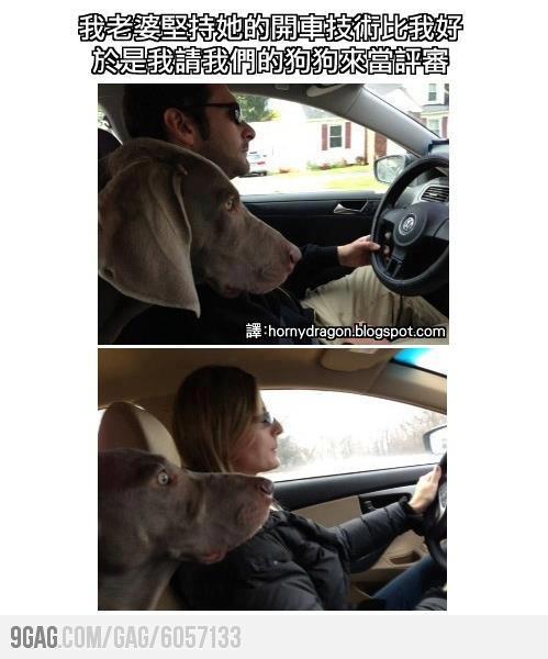 動物是不會騙人的.jpg