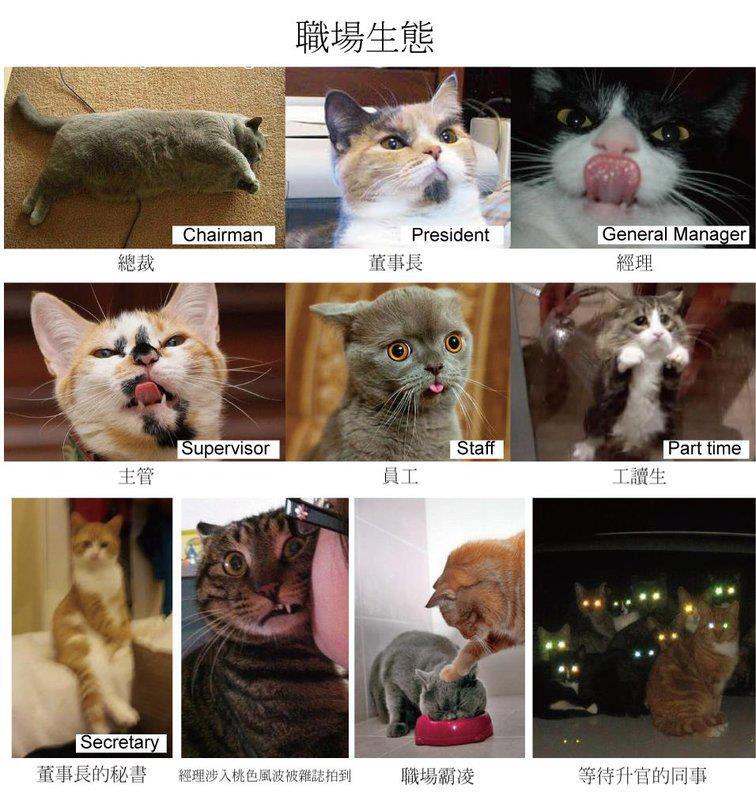 職場生態.jpg