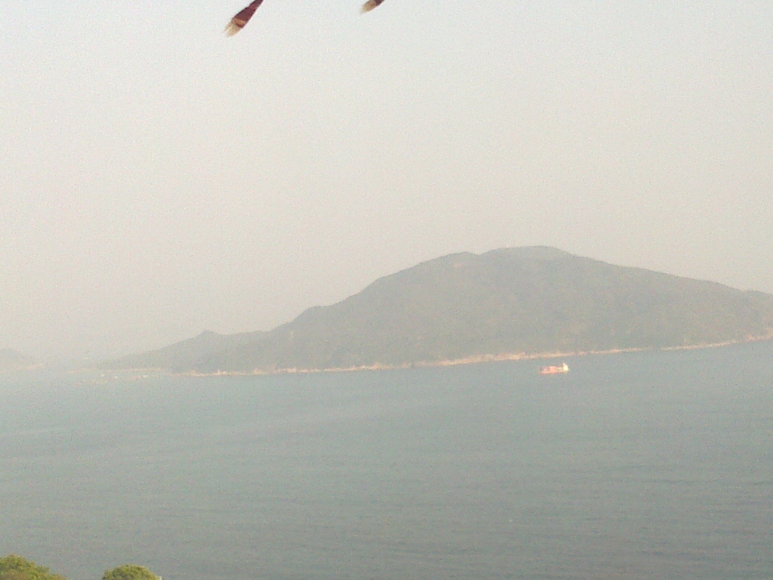 圖像1702.jpg
