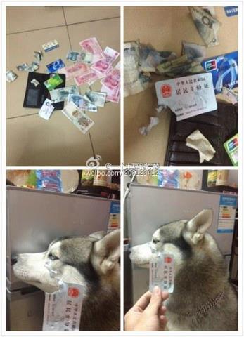不用裝淡定了.jpg