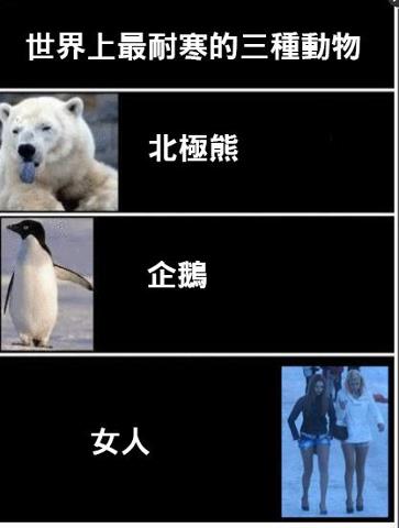 世界上最耐寒的三種動物.jpg