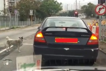 zczc.jpg