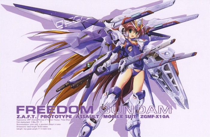 Freedom_Gundam_Girl.jpg
