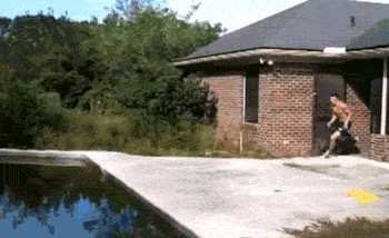 stupid_42.gif