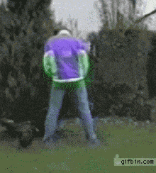 12492196.gif