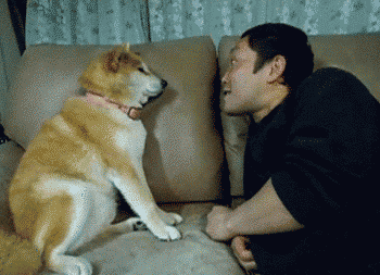 gifs_24.gif