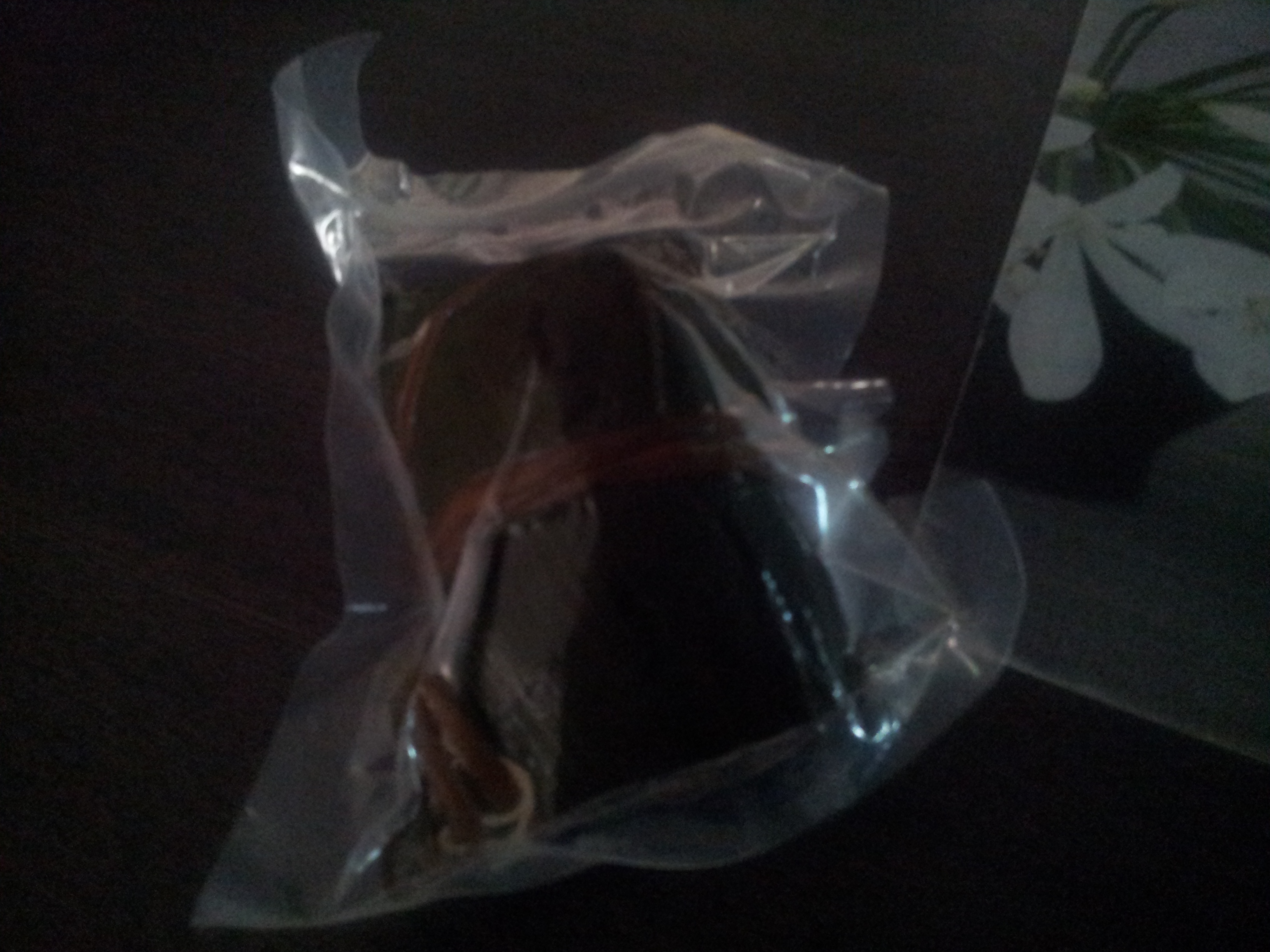 20130613_135419.jpg