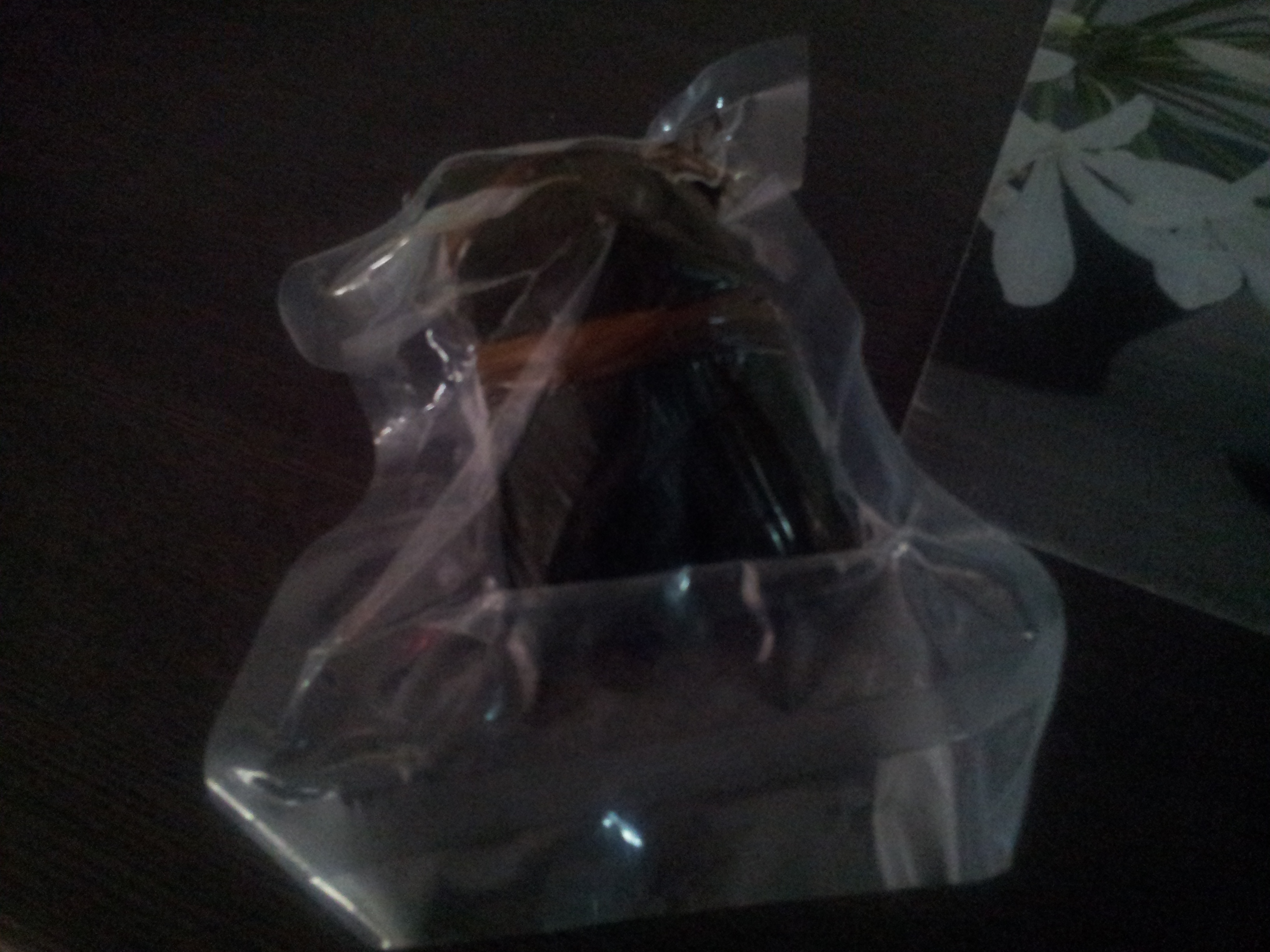 20130613_135408.jpg
