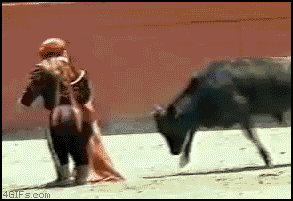 ba010ad4jw1e5m96wg26tg208505lx6p.gif