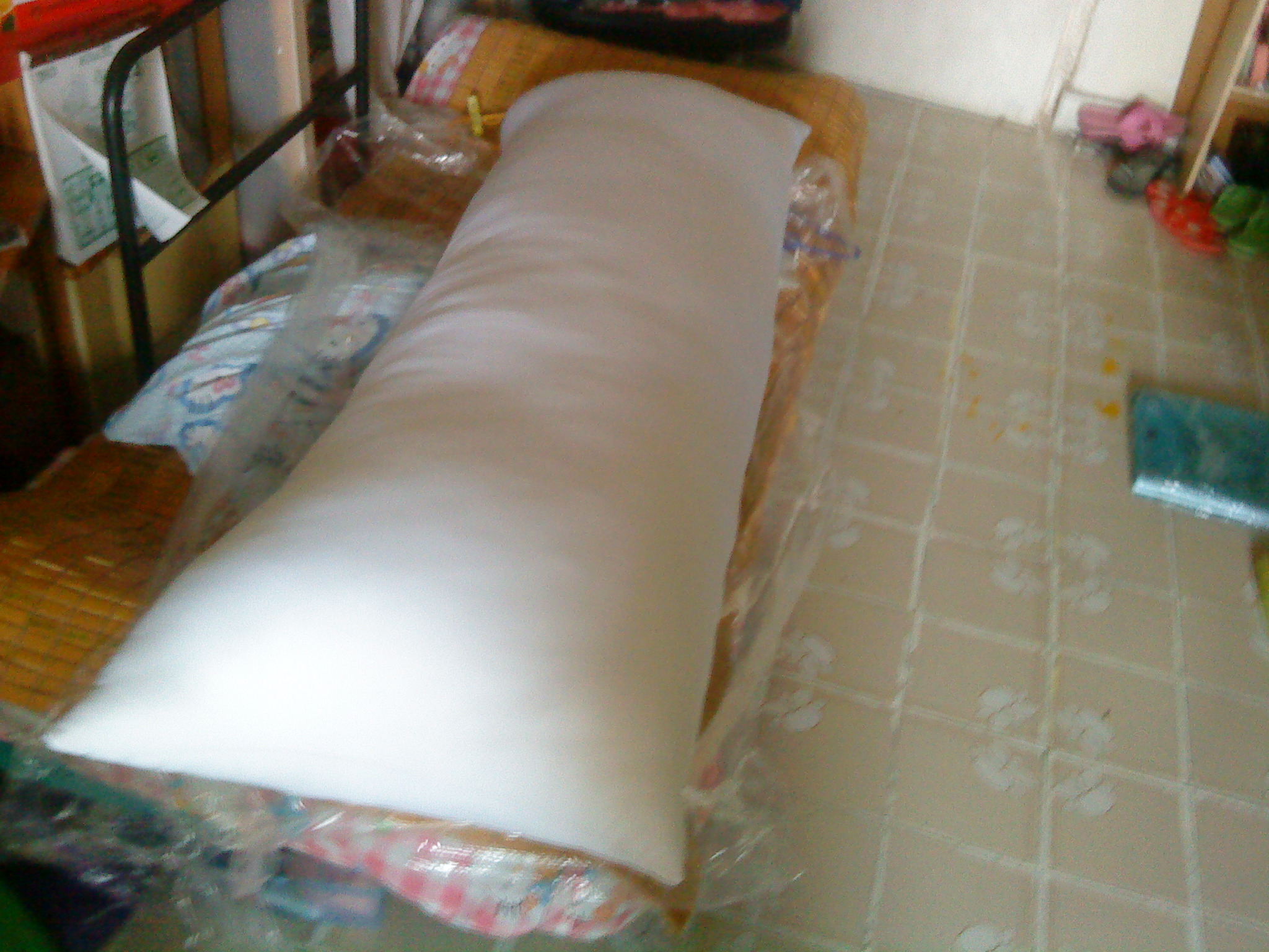 DSC05253.JPG
