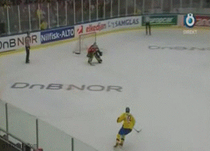 1239525209_nice-hockey-goal.gif