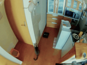 6ab2b567gw1e7ahxs626wg208c069aqf.gif