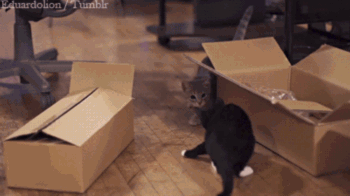 6ab2b567gw1e7ahvy5skng209q05ge84.gif