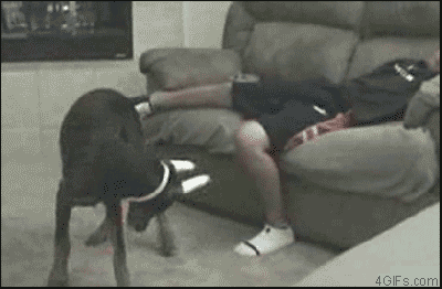 painful_moments_in_testicle_history_21.gif