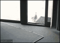 79a00895jw1dhb50dn6cpg.gif