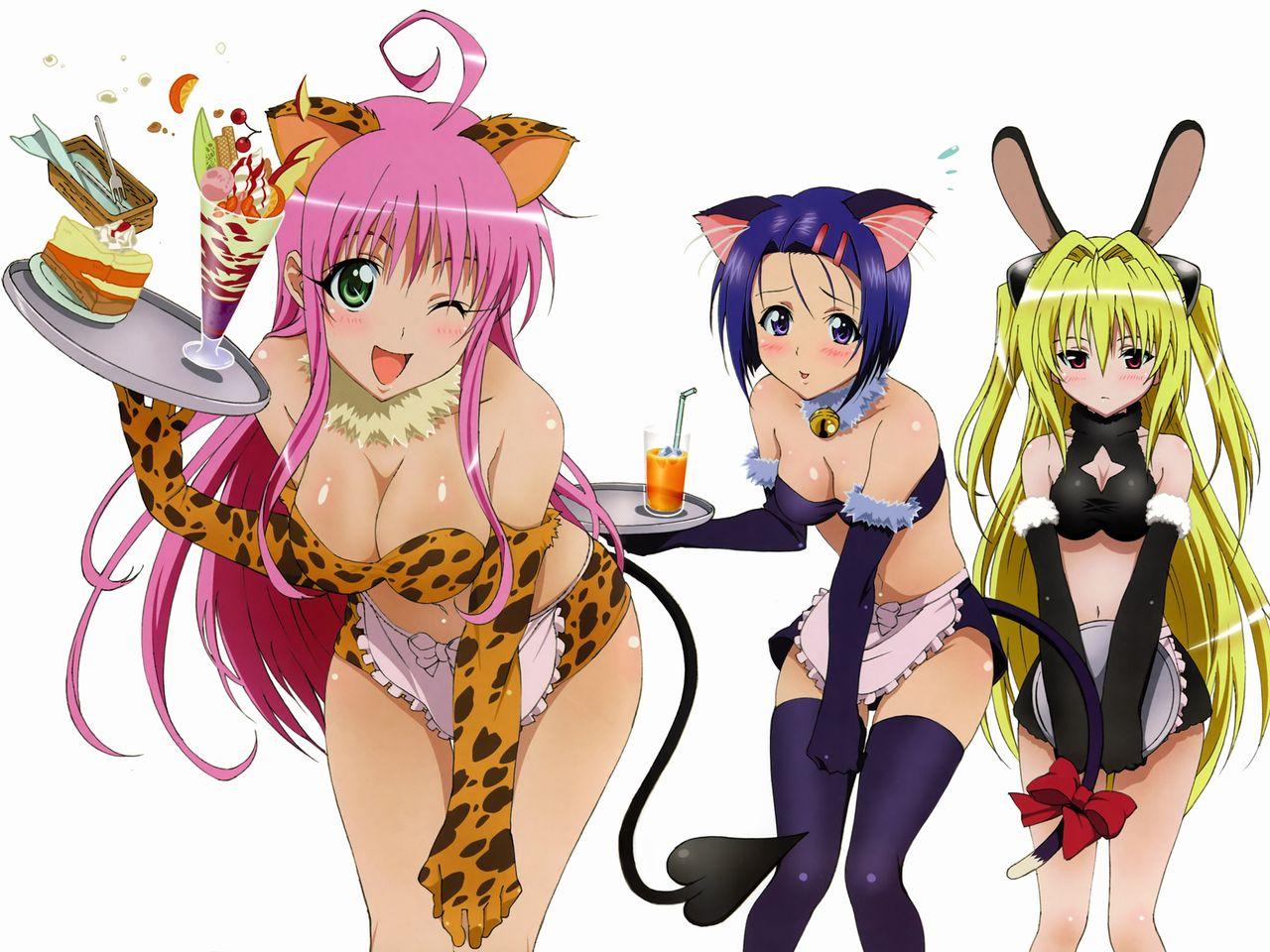 to-love-ru-motto-trouble-186490.jpg