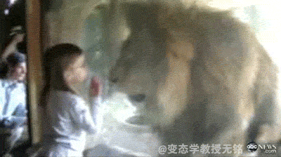699d55a5gw1eaqi81kp9cg20b4068npd.gif