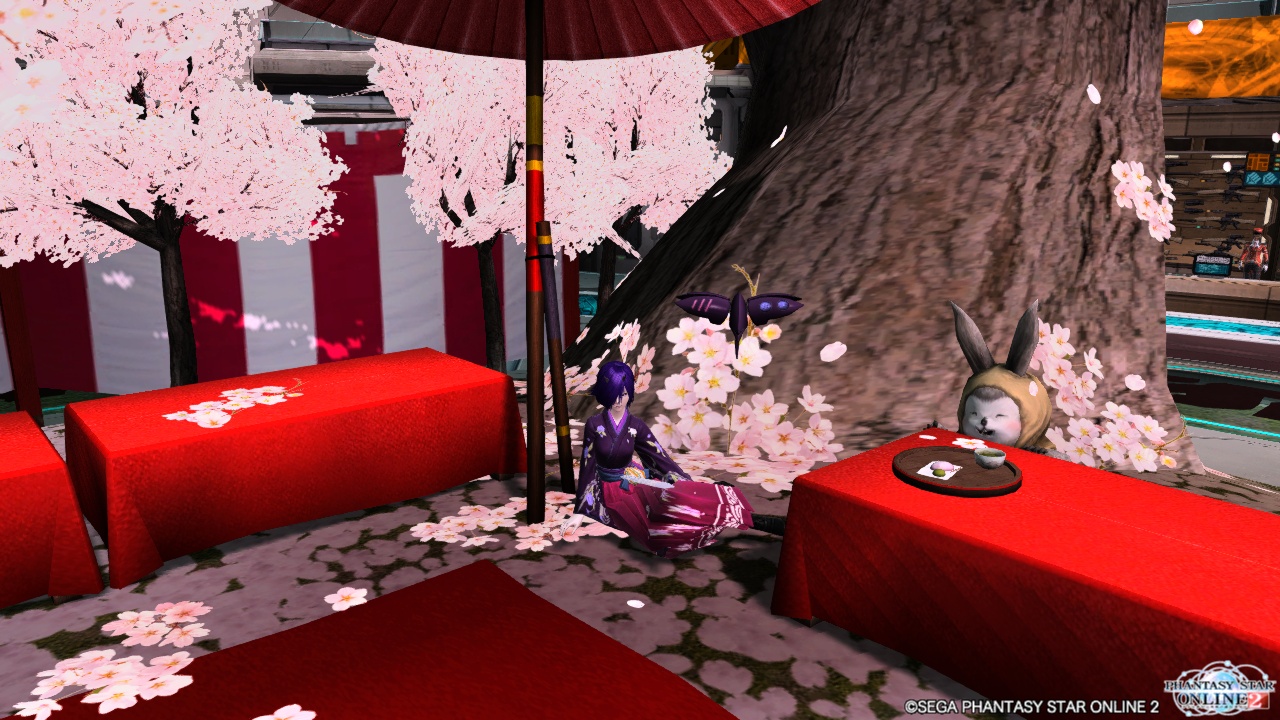 pso20140410_132850_000.jpg