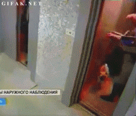 anigif_enhanced-buzz-32602-1374611608-11.gif