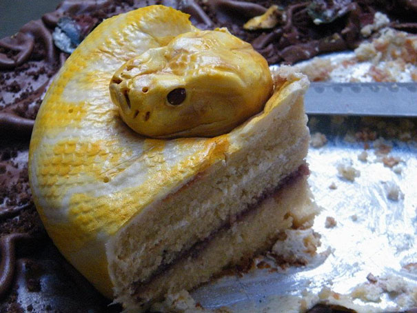 creative-cakes-3-2.jpg