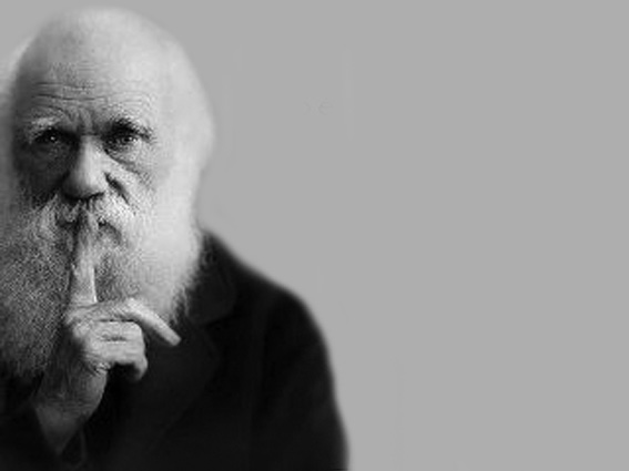 Charles-Darwin-pb.jpg