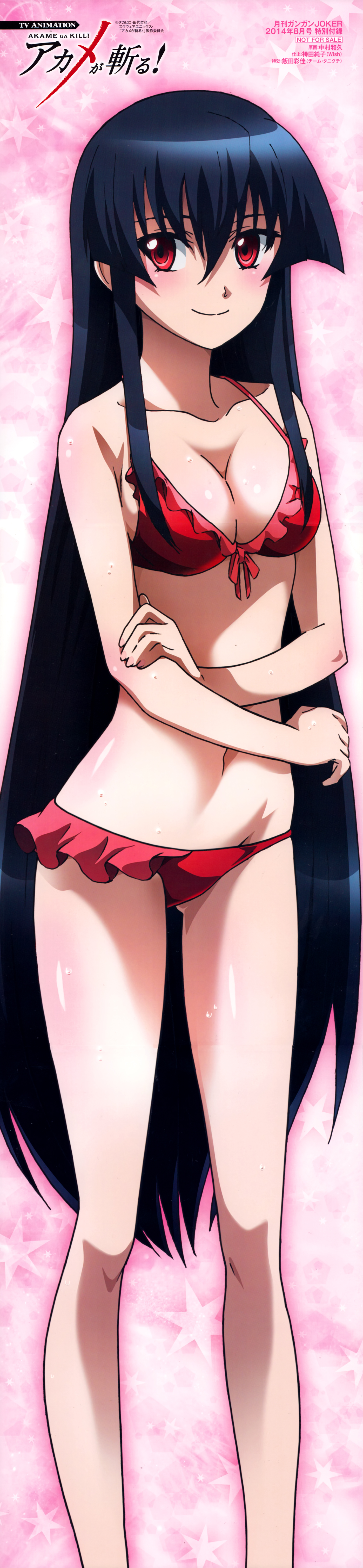 yande.re 292871 akame akame_ga_kill! bikini cleavage nakamura_kazuhisa swimsuits.jpg