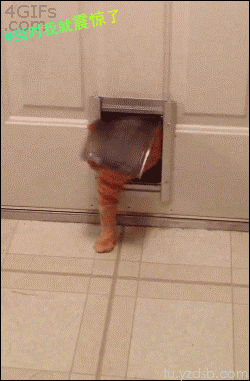QQ图片20140729172812.gif
