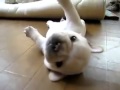 default (2).jpg