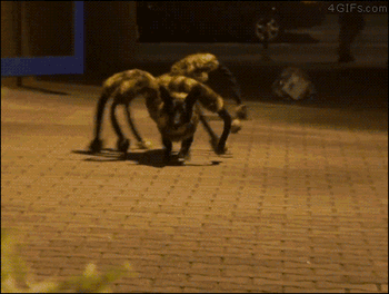 7ca3b2bejw1ek2miaj9z1g209q07cnpf.gif