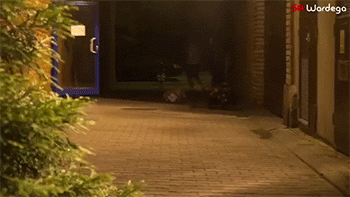 7aa98e72gw1ek36rqpz31g209q05hu0x.gif
