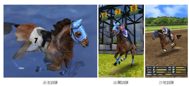 t3.jpg