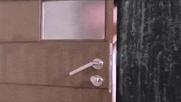 6561c08fgw1eiguhtspjig20a005ohdw.gif