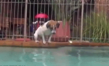 9e14cb4agw1elrvfaskcgg20a7068he5.gif