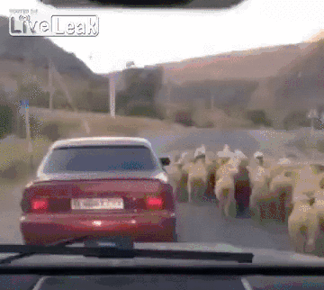 9e14cb4agw1emotp76mktg20a008y4qs.gif