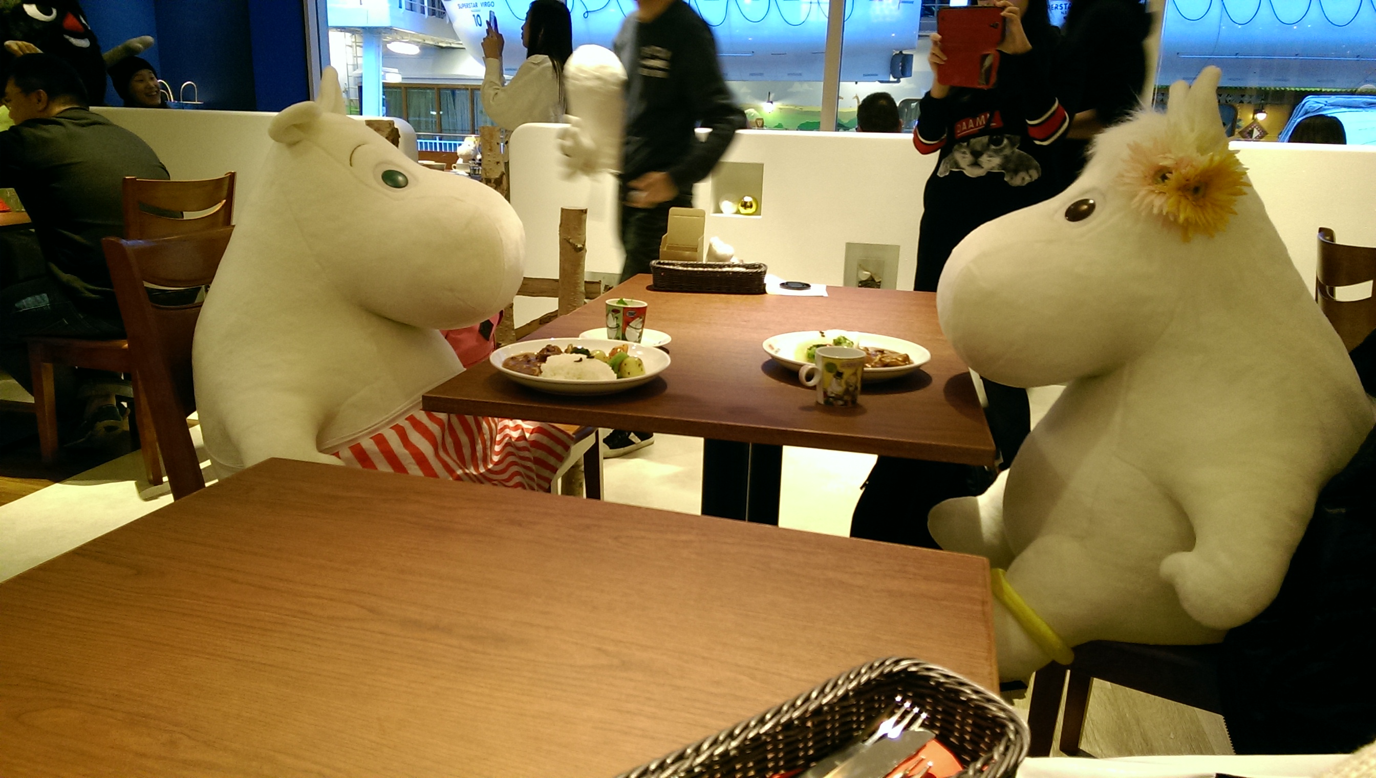 IMAG0254.jpg