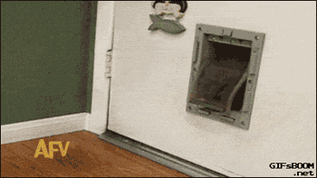 79a00895gw1emf063bz76g209q05hb29.gif