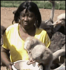 79a00895gw1eo5b1n5tk7g205y06dtzd.gif