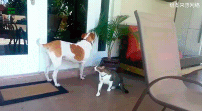 78eb49edtw1eo5lwif80dg20b4065u10.gif