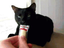 a2b70395jw1eo97elg4lcg206y058kjl.gif